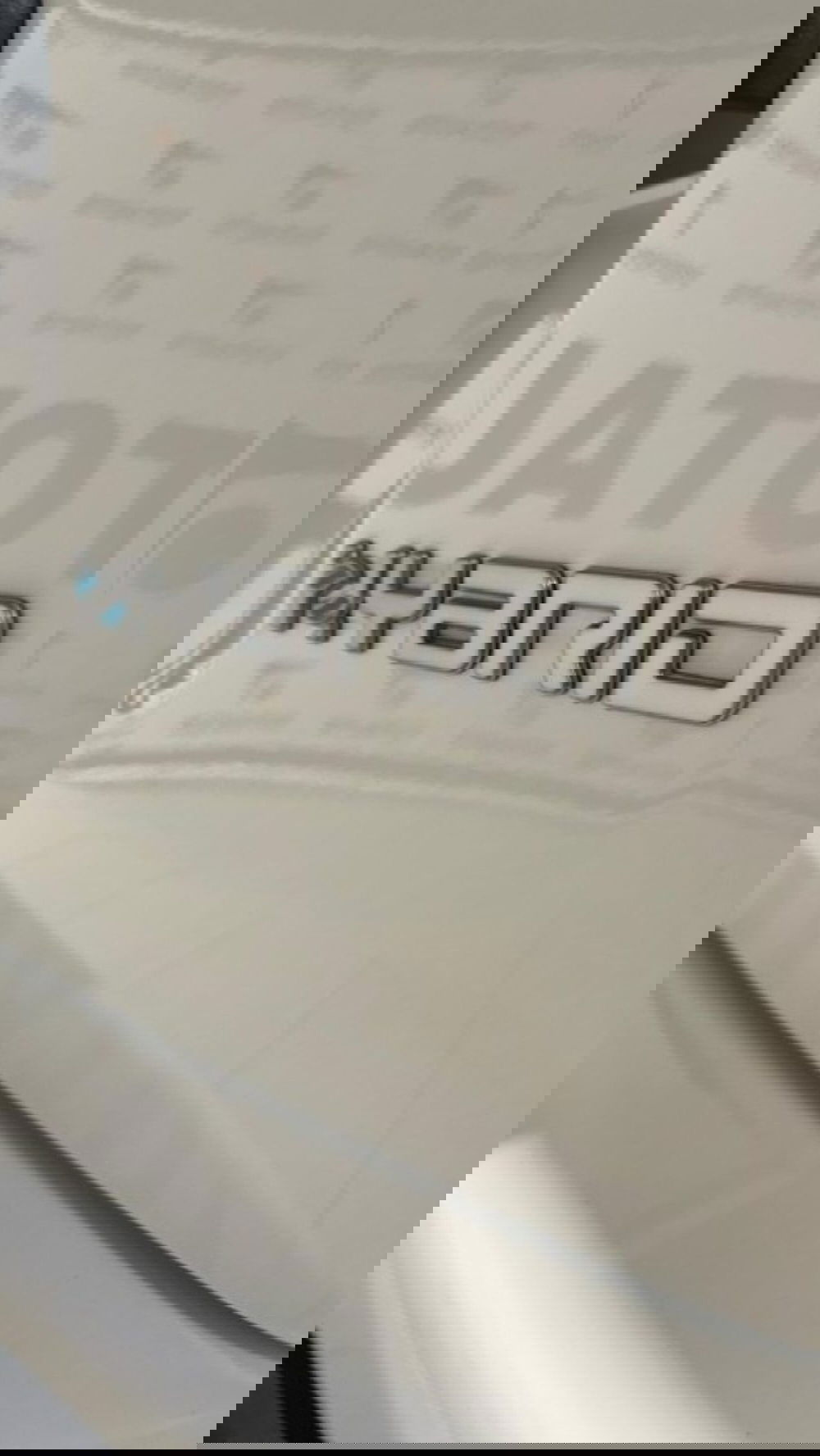 Fiat Panda nuova a Novara (14)