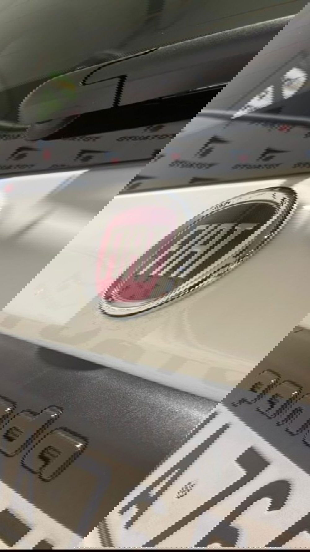 Fiat Panda nuova a Novara (15)