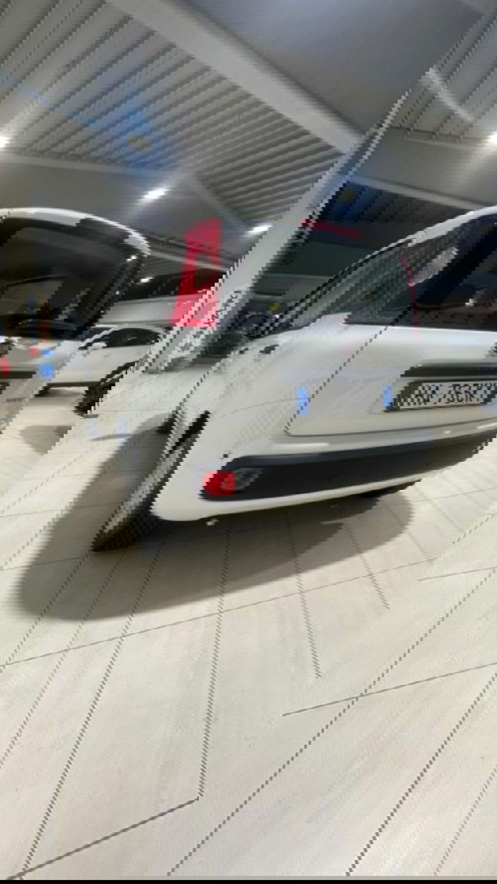 Fiat Panda nuova a Novara (5)