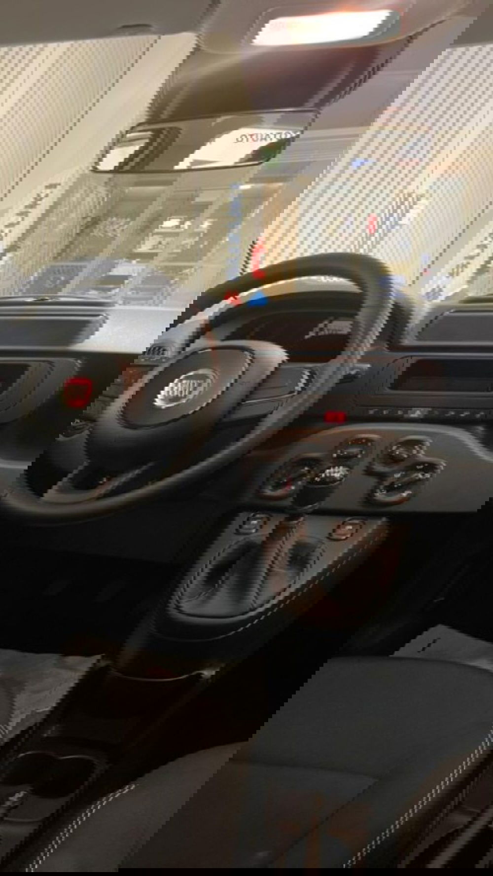 Fiat Panda nuova a Novara (8)