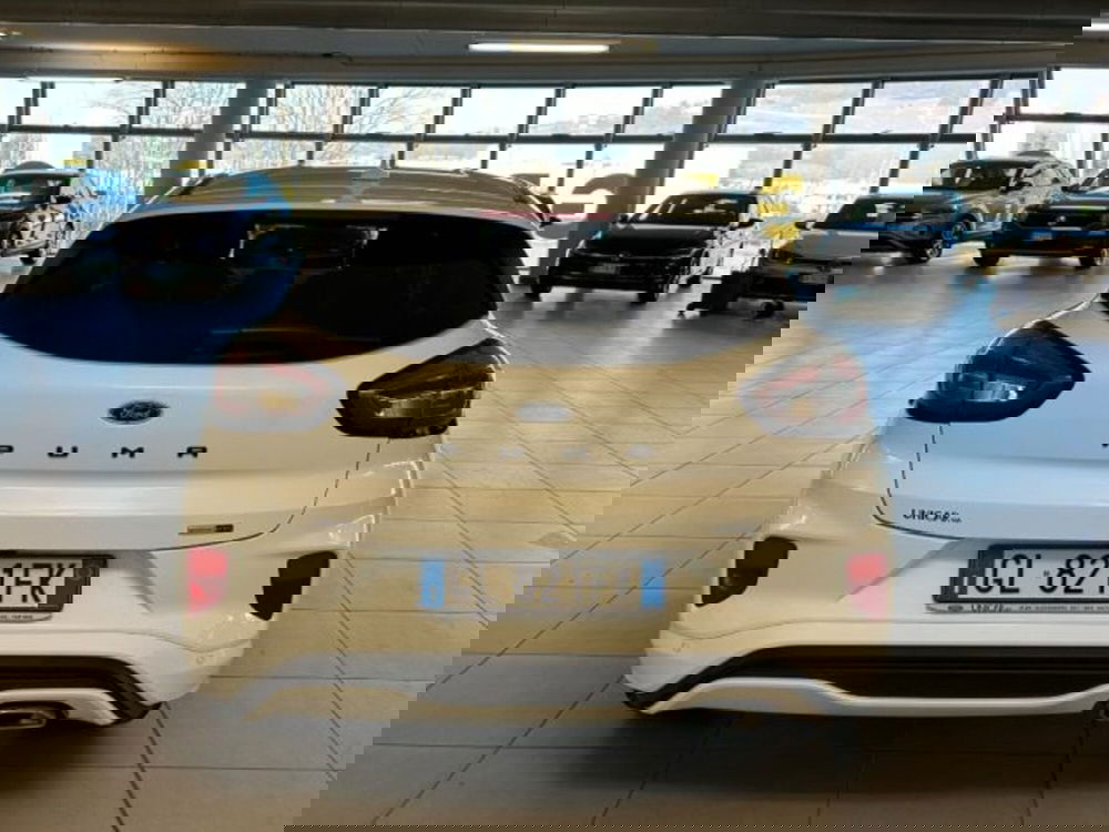 Ford Puma usata a Cuneo (6)