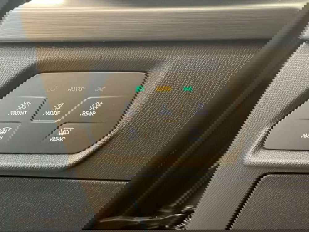 Cupra Formentor usata a Vicenza (15)