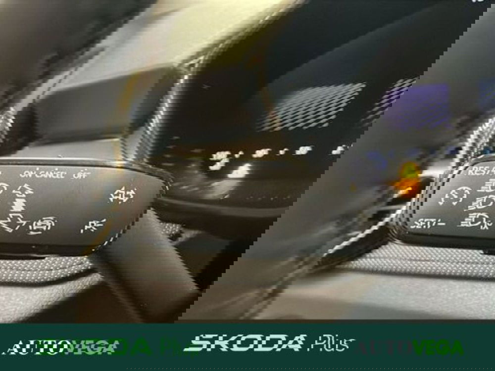 Skoda Fabia usata a Vicenza (15)