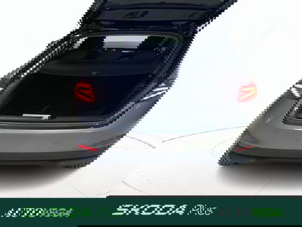 Skoda Fabia usata a Vicenza (18)