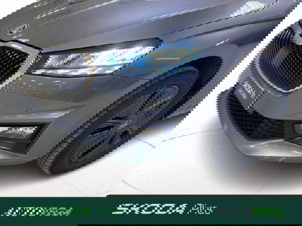 Skoda Fabia usata a Vicenza (20)