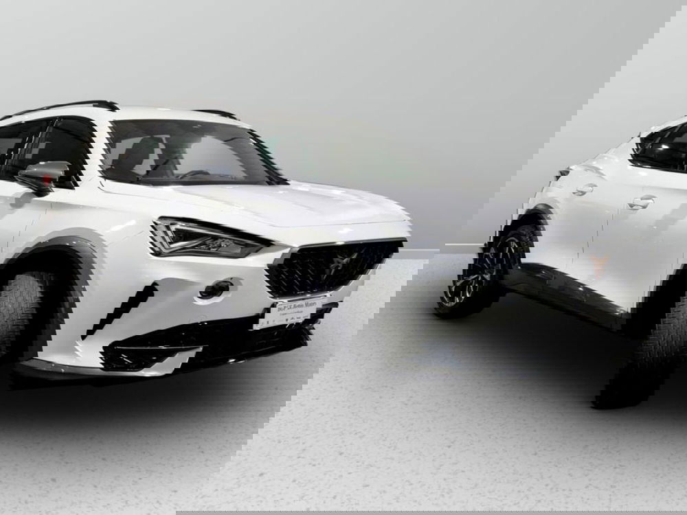 Cupra Formentor usata a Padova (4)