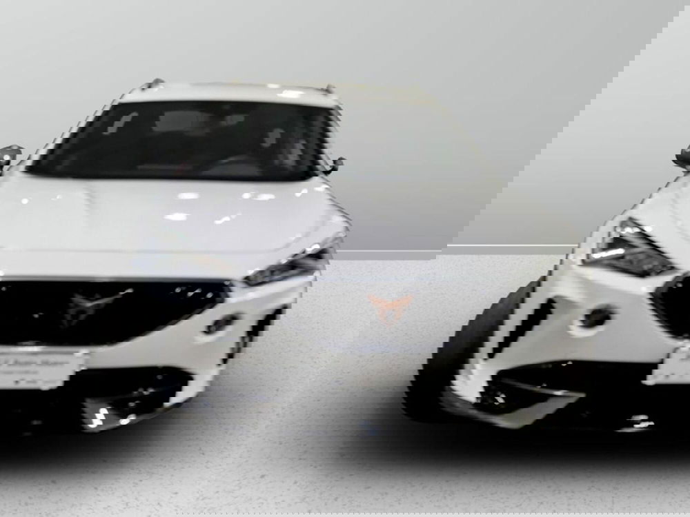 Cupra Formentor usata a Padova (7)