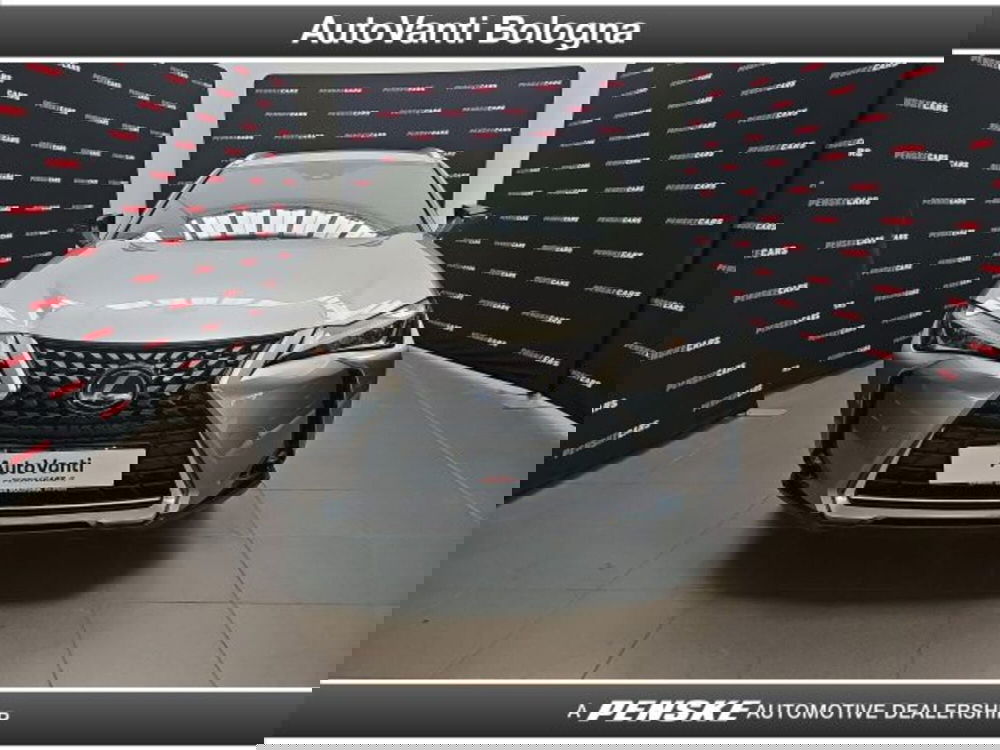 Lexus UX usata a Bologna (7)