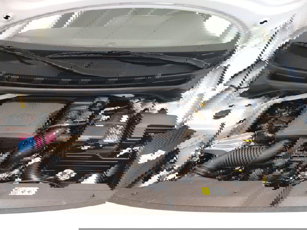 Hyundai i10 nuova a L'Aquila (10)