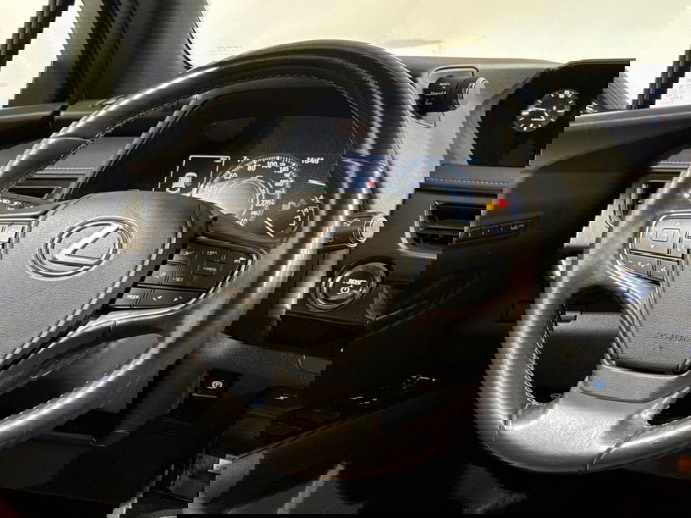 Lexus UX usata a Sondrio (10)