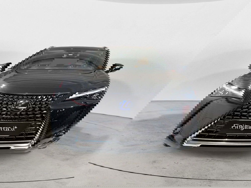 Lexus UX usata a Sondrio (2)