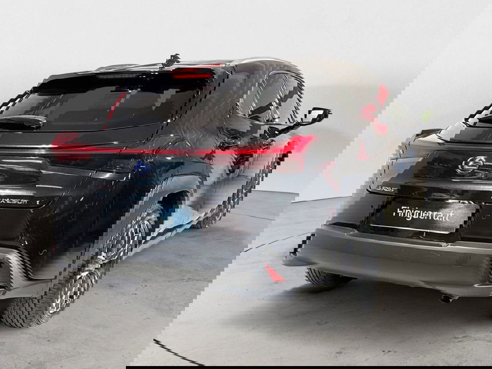 Lexus UX usata a Sondrio (6)