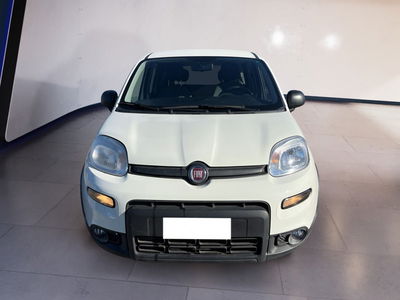 Fiat Panda van 1.0 hybrid Street 70cv 4p.ti serie 4 E6d del 2022 usata a Torino
