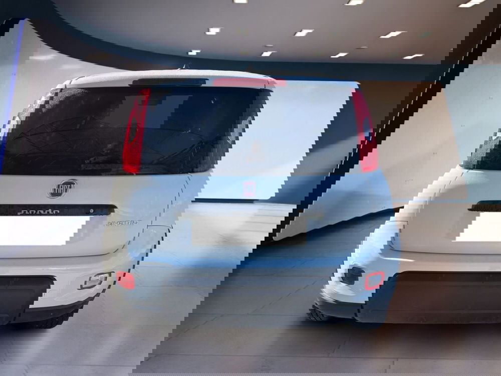 Fiat Panda usata a Torino (6)