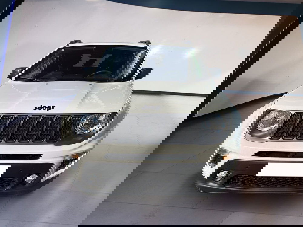 Jeep Renegade usata a Torino