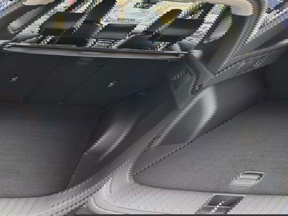 Hyundai Tucson usata a Arezzo (11)