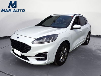 Ford Kuga 1.5 EcoBlue 120 CV 2WD ST-Line del 2020 usata a Montebelluna