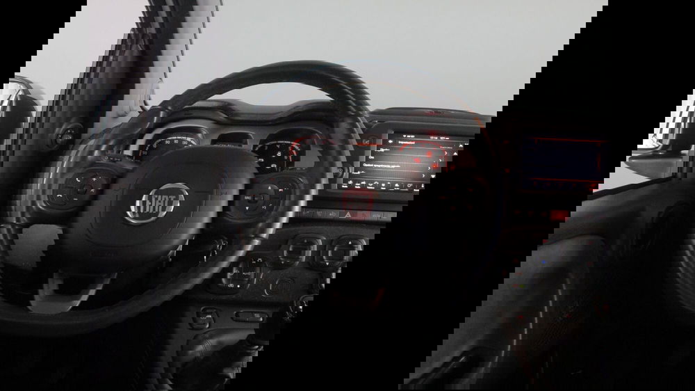 Fiat Panda Cross usata a Palermo (7)