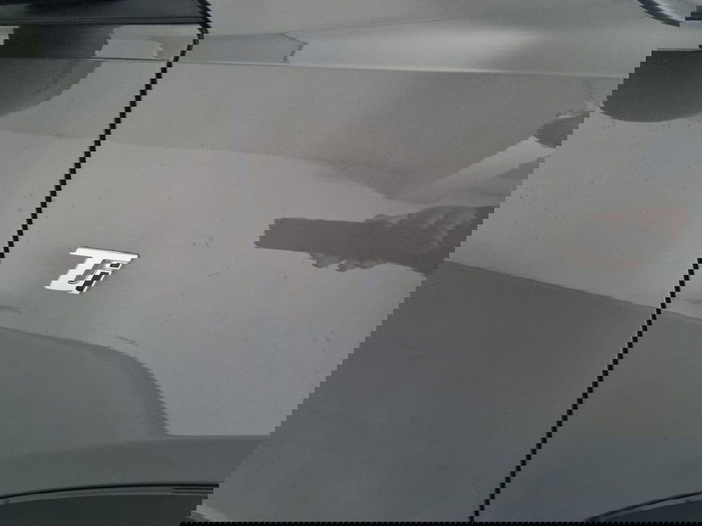 Alfa Romeo Tonale usata a Cremona (9)