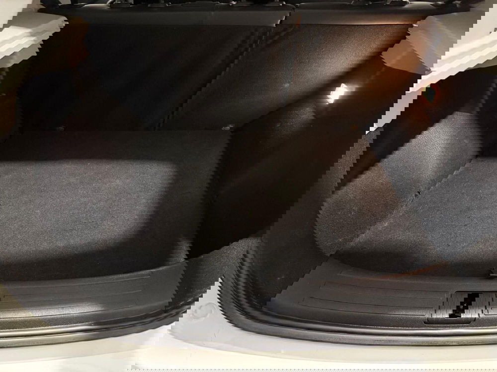 Mg ZS usata a Massa-Carrara (16)