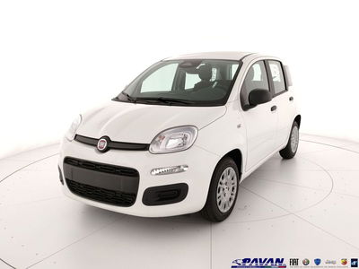 Fiat Panda 1.0 firefly hybrid Pop s&amp;s 70cv nuova a Piove di Sacco