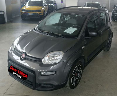 Fiat Panda 1.0 firefly hybrid s&amp;s 70cv 5p.ti del 2021 usata a Orvieto