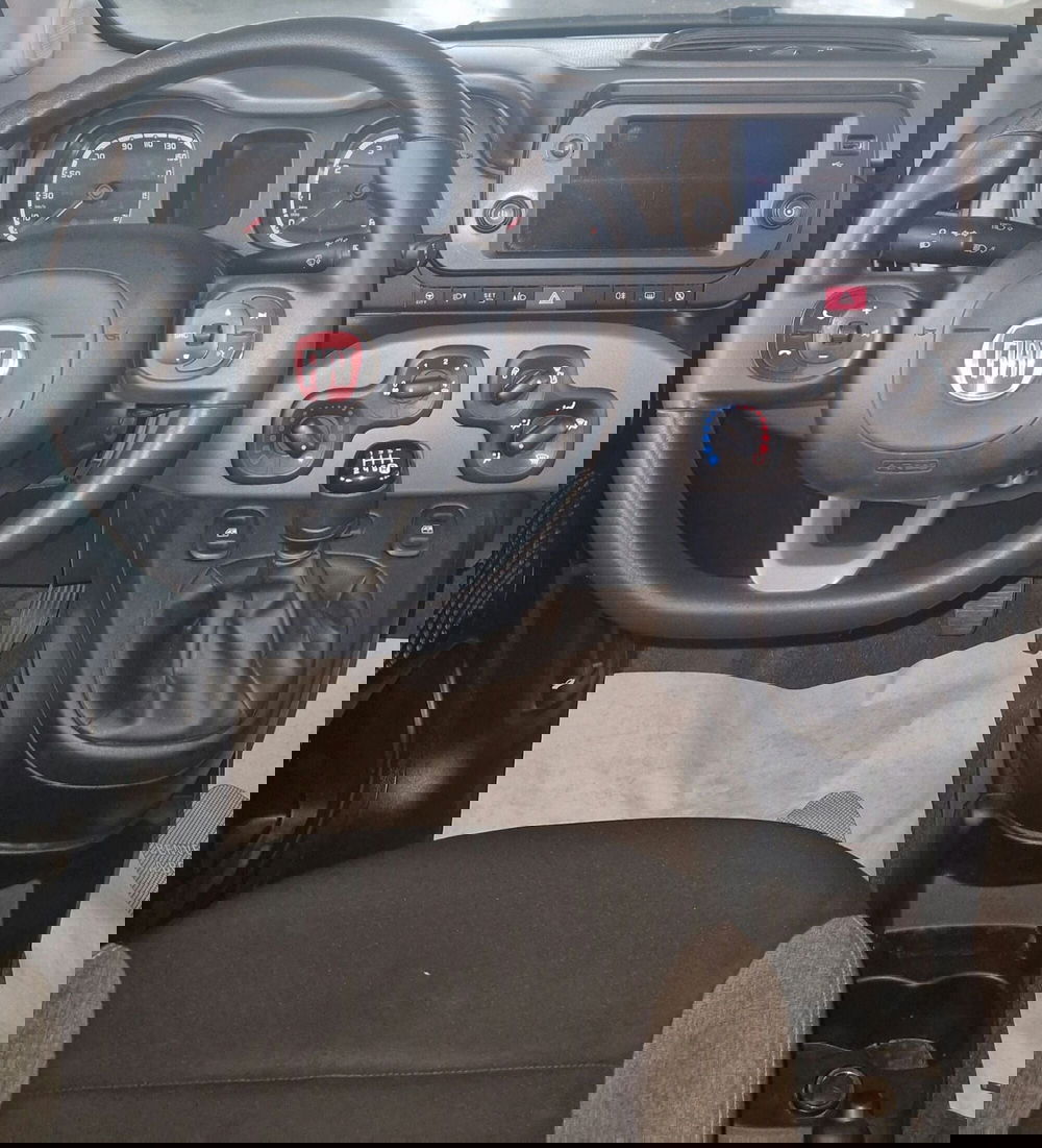 Fiat Panda usata a Terni (11)