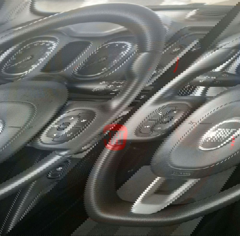 Fiat Panda usata a Terni (12)