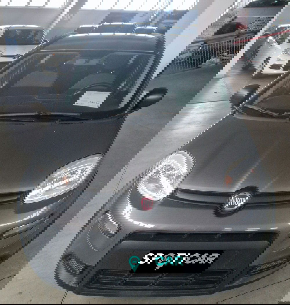Fiat Panda usata a Terni (2)