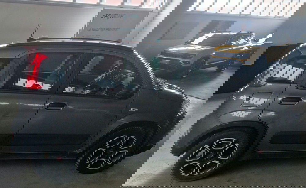 Fiat Panda usata a Terni (3)