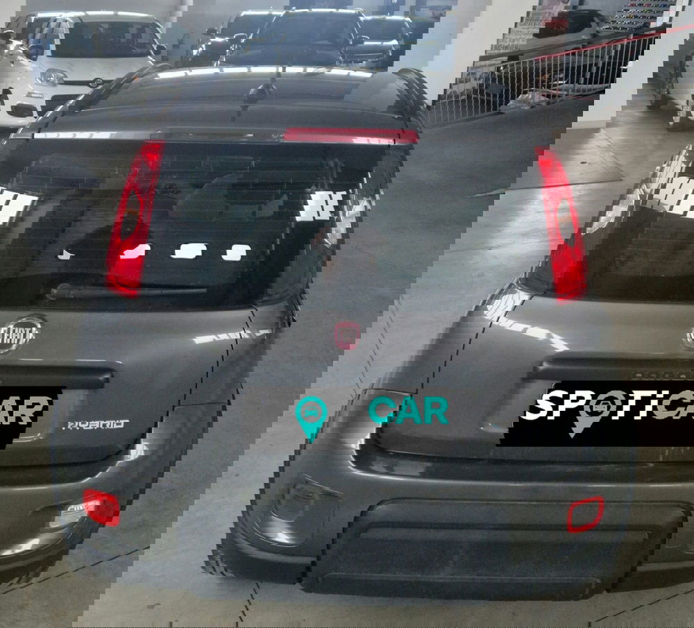 Fiat Panda usata a Terni (5)