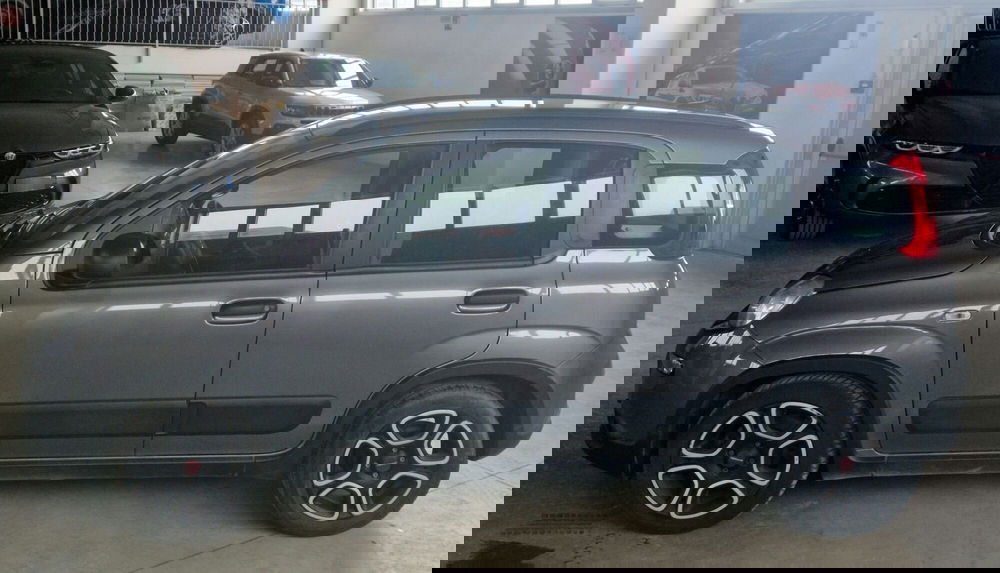 Fiat Panda usata a Terni (6)