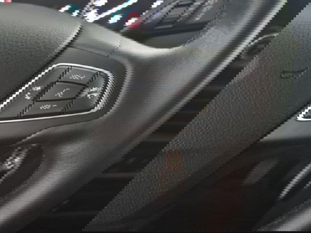Ford EcoSport usata a Salerno (20)