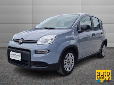 Fiat Panda 1.0 firefly hybrid s&amp;s 70cv 5p.ti del 2022 usata a Salerno