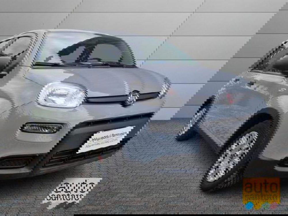 Fiat Panda usata a Salerno (2)