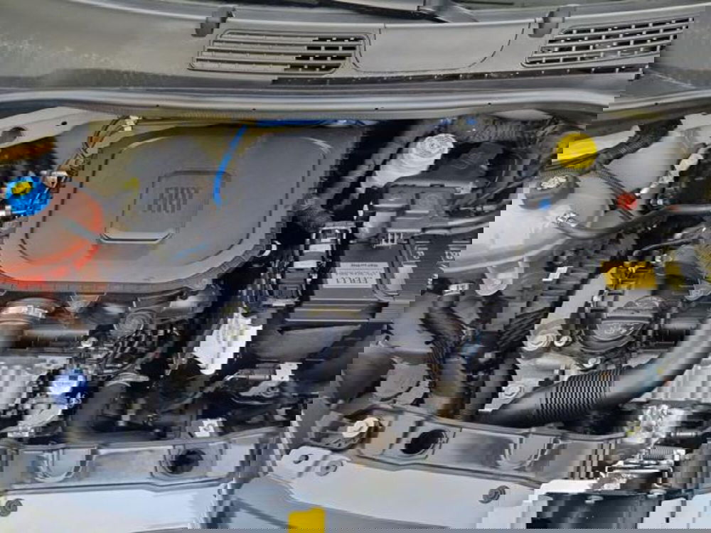 Fiat Panda usata a Salerno (20)