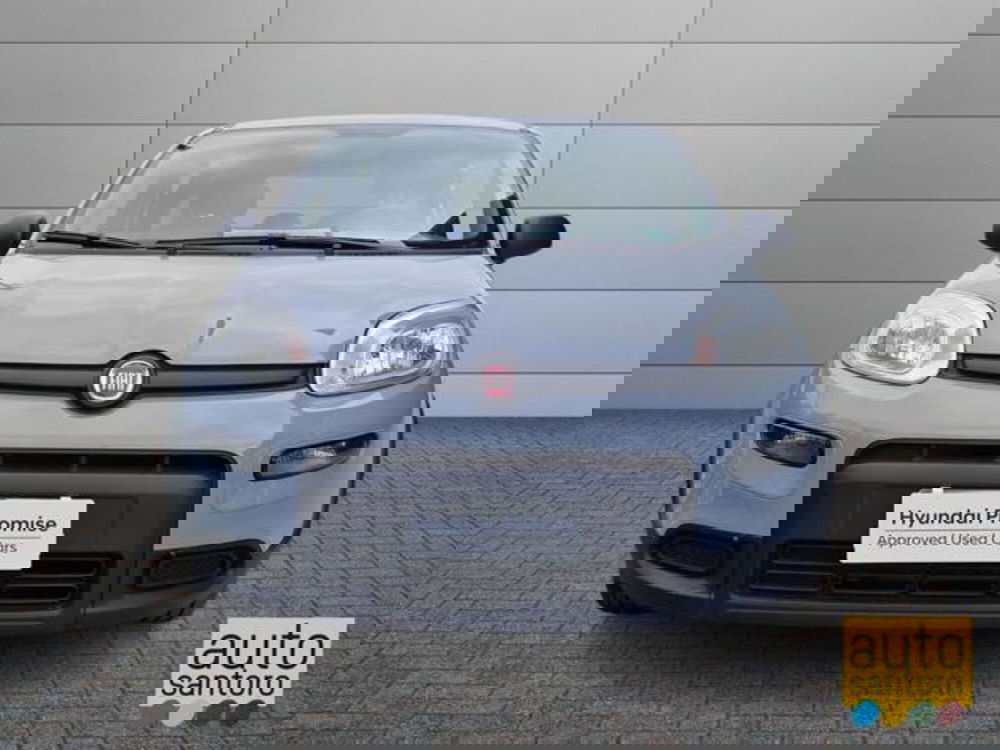 Fiat Panda usata a Salerno (5)