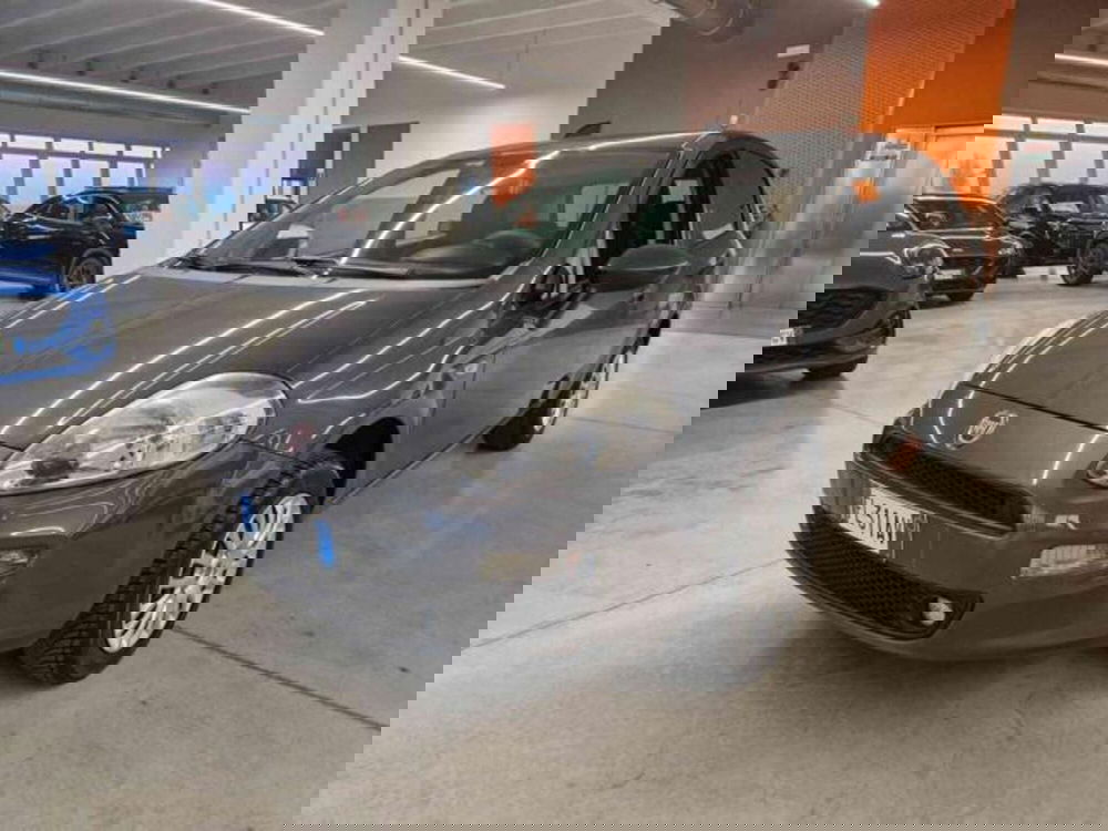 Fiat Punto usata a Bologna