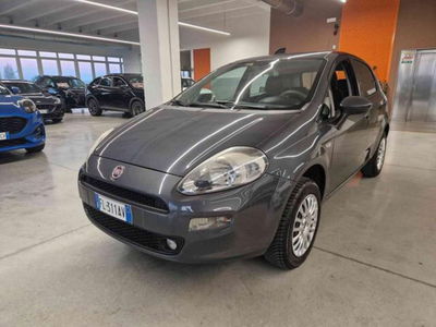 Fiat Punto 1.4 8V 5 porte Natural Power Street del 2017 usata a Imola
