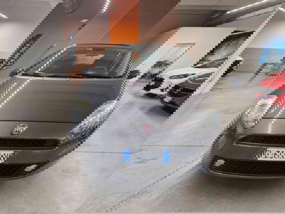 Fiat Punto usata a Bologna (2)