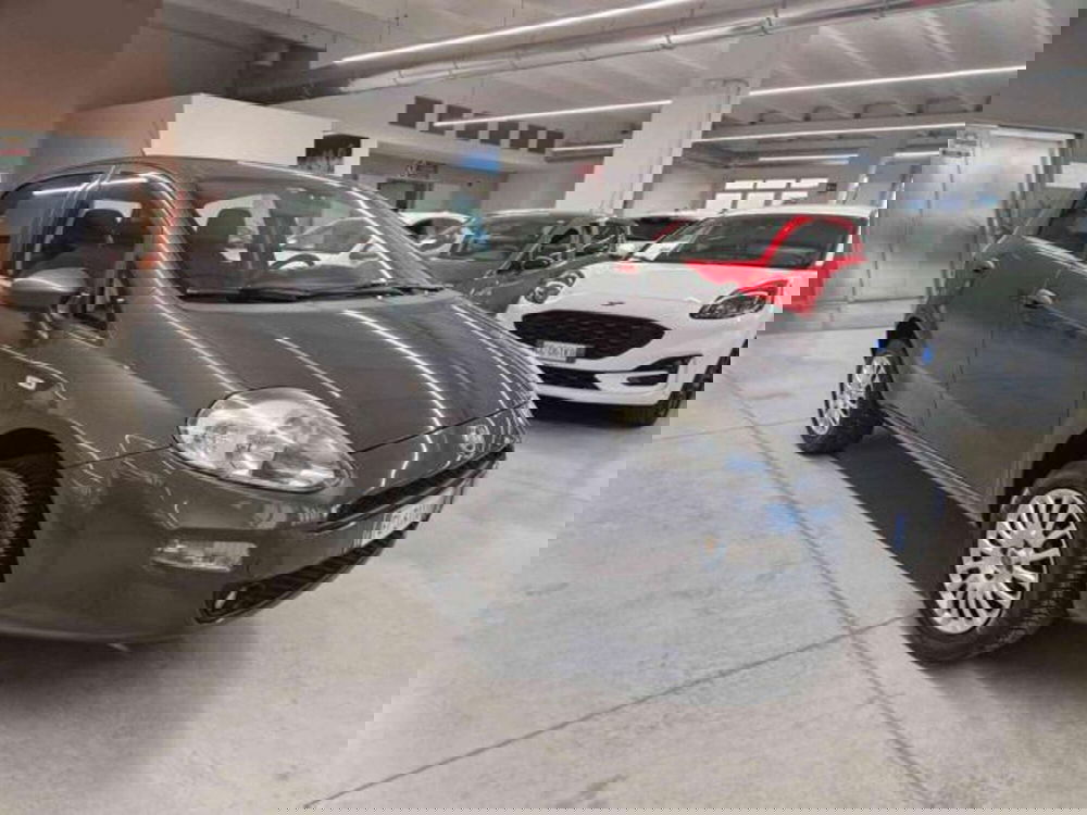 Fiat Punto usata a Bologna (3)