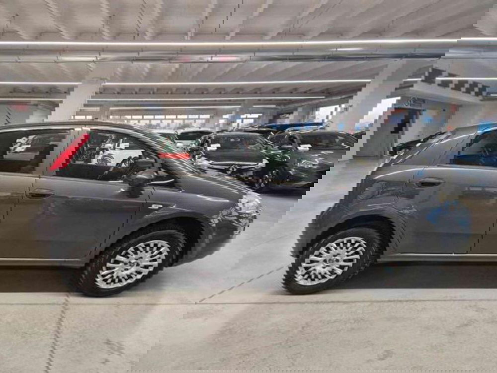 Fiat Punto usata a Bologna (4)