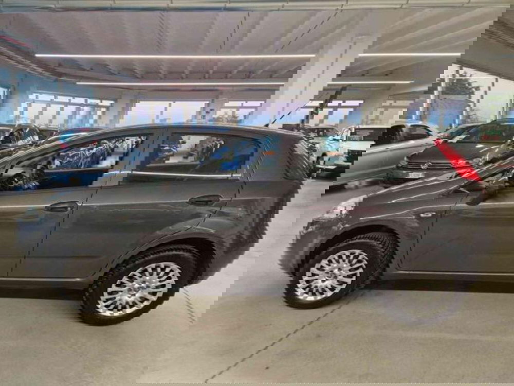 Fiat Punto usata a Bologna (7)