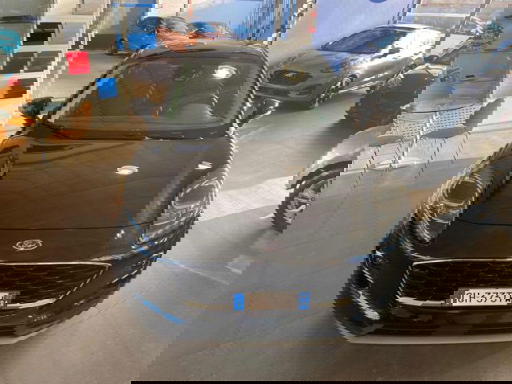 Ford Puma usata a Bologna (2)