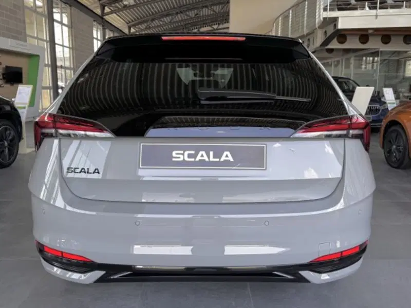 Skoda Scala nuova a Vicenza (4)