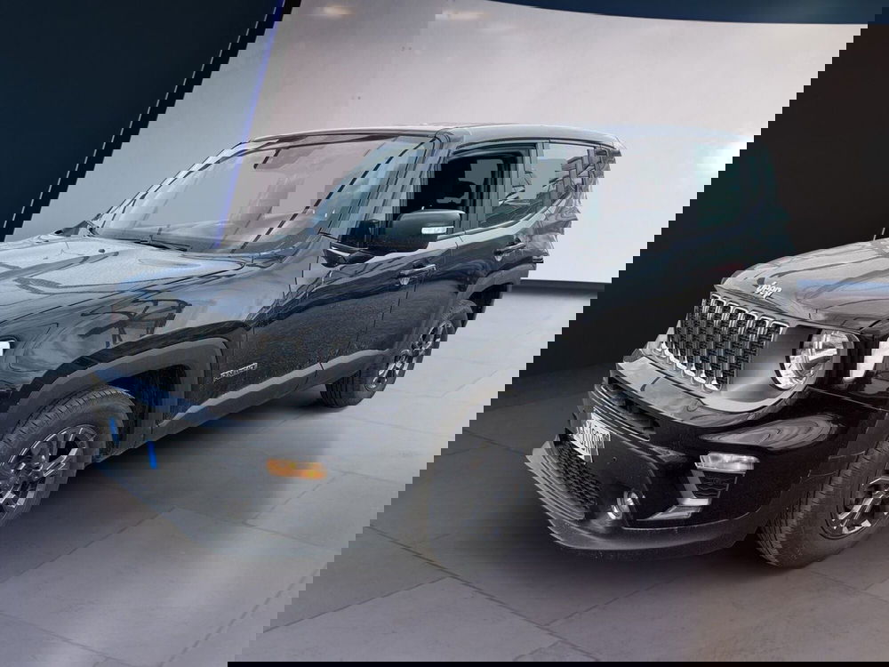 Jeep Renegade usata a Torino (2)