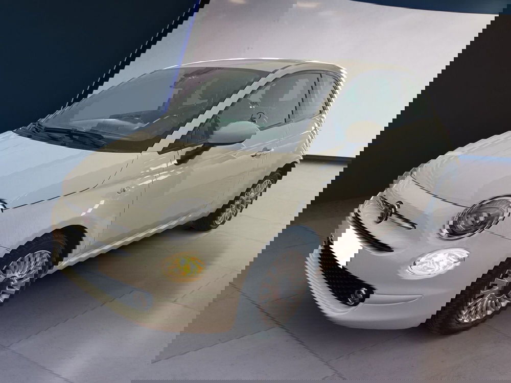 Fiat 500 usata a Torino (3)