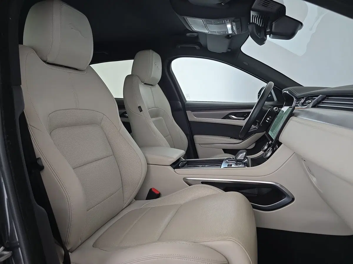 Jaguar F-Pace usata a Alessandria (13)
