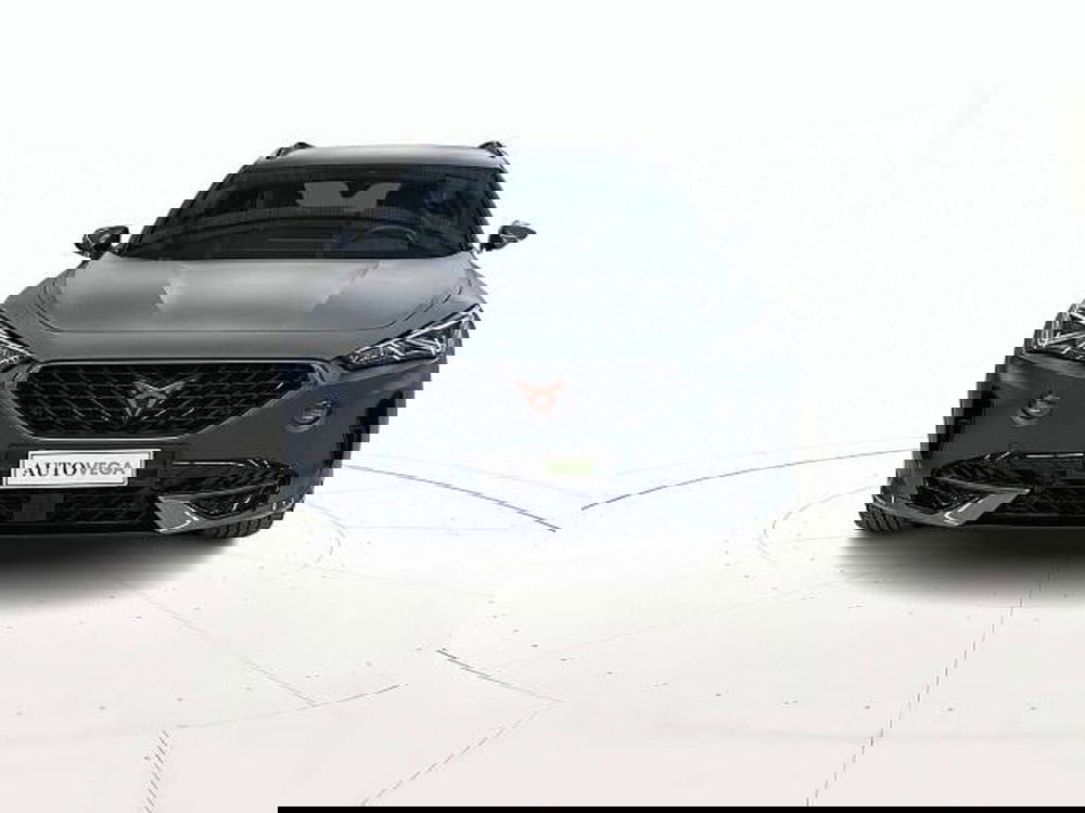 Cupra Formentor usata a Vicenza (2)