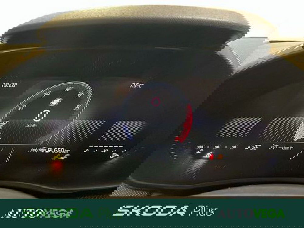 Skoda Fabia usata a Vicenza (14)